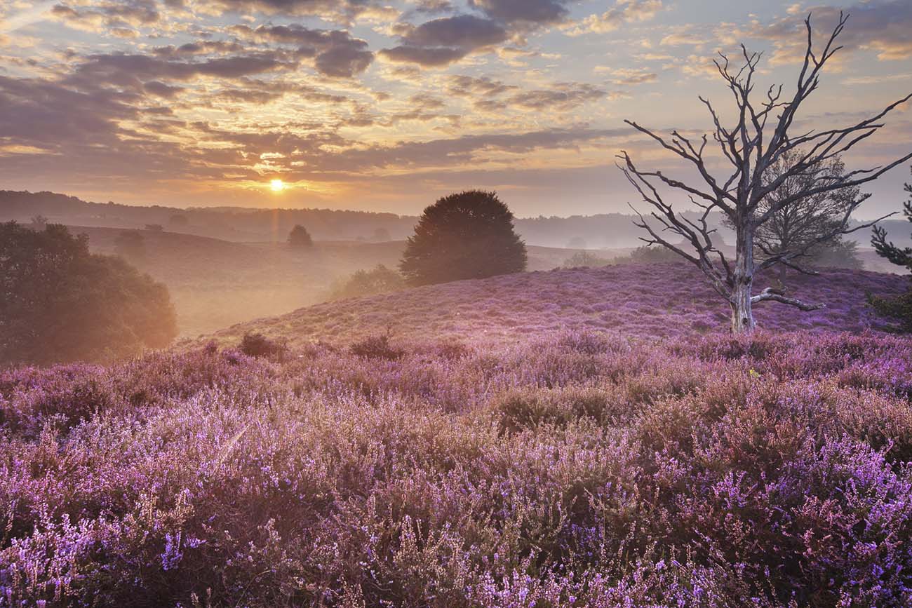 Wandelcoaching
